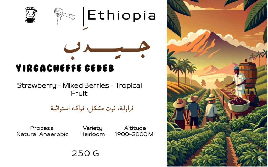 Yirgacheffe Gedeb