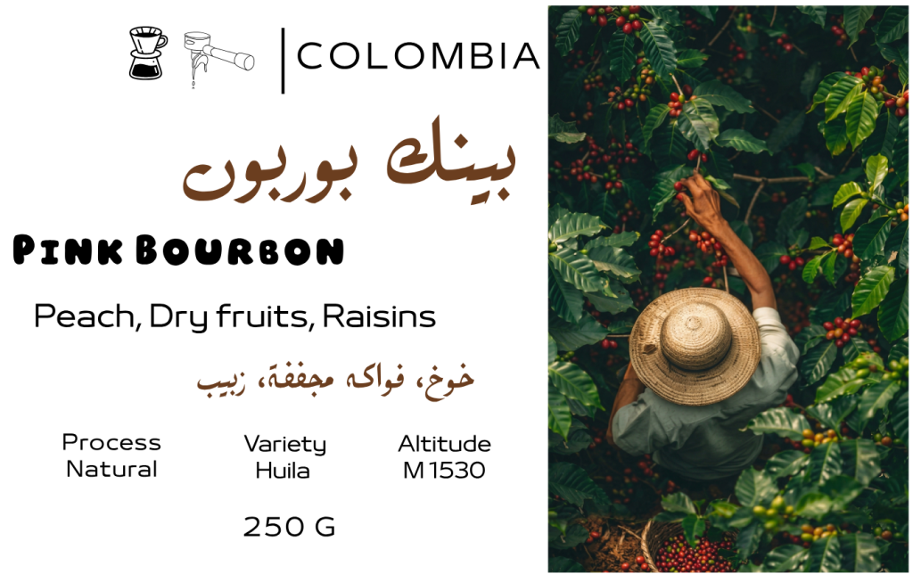 Colombia Pink Bourbon