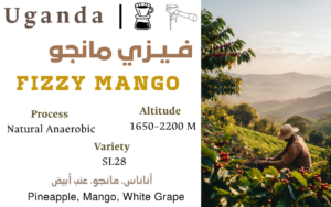 Fizzy Mango