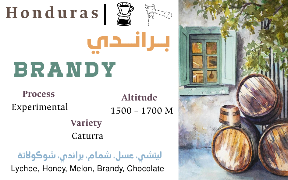 Brandy