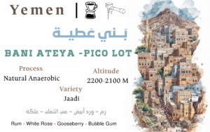 Bani Ateya -Pico Lot