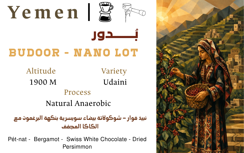 Budoor - Nano Lot
