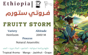 Fruity Storm Ethiopia