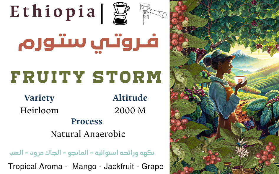 Fruity Storm Ethiopia