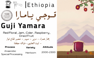 Guji Yamara - TOH المركز الثاني