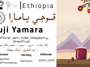 Guji Yamara - TOH المركز الثاني