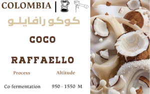 Coco  Raffaello