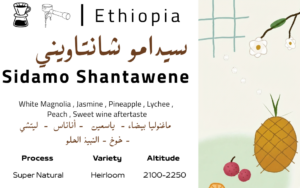 Sidamo Shantawene