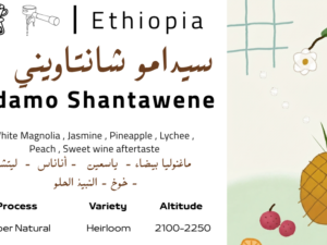 Sidamo Shantawene