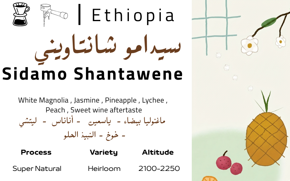 Sidamo Shantawene