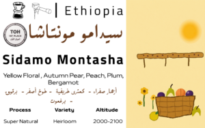 Sidamo Montasha - TOH المركز الاول
