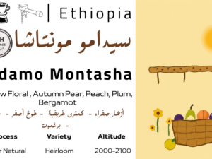 Sidamo Montasha - TOH المركز الاول