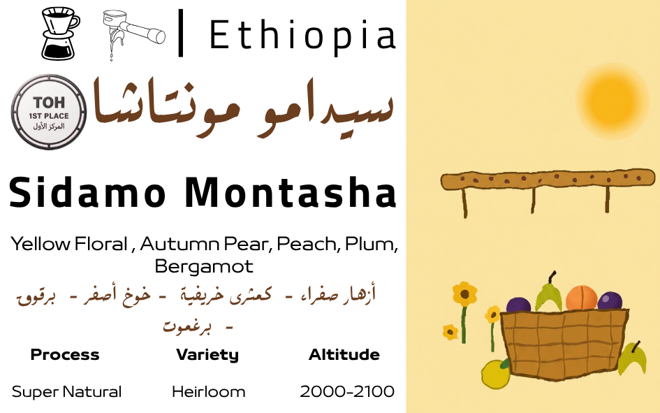 Sidamo Montasha - TOH المركز الاول