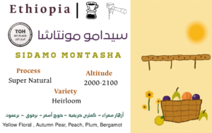Sidamo Montasha - TOH المركز الاول