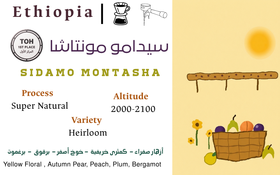 Sidamo Montasha - TOH المركز الاول