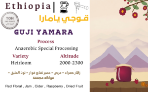 Guji Yamara - TOH المركز الثاني