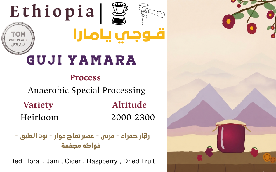 Guji Yamara - TOH المركز الثاني