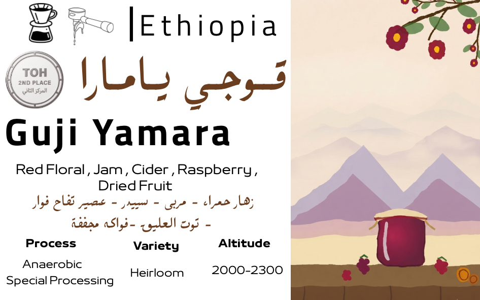 Guji Yamara - TOH المركز الثاني