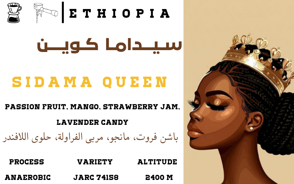 Sidama Queen