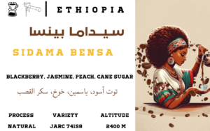 Sidama Bensa