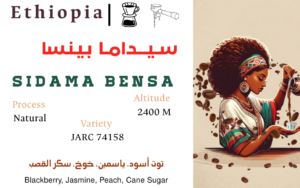 Sidama Bensa